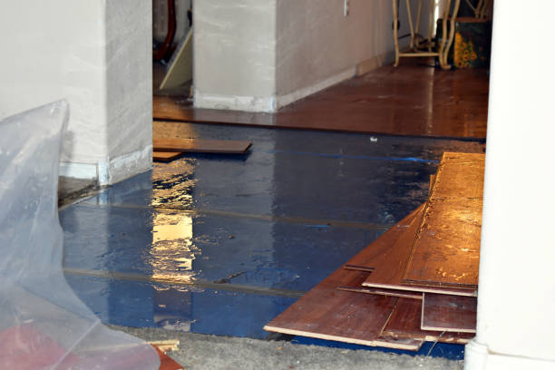 Professional Basement Flood Cleanup technician working in Elm Mott, TX